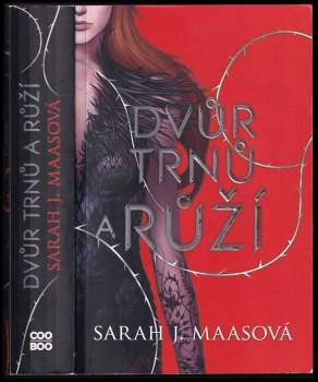 Sarah J Maas: Dvůr trnů a růží
