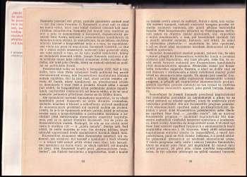 Stanislav Budín: Dynastie Kennedyů