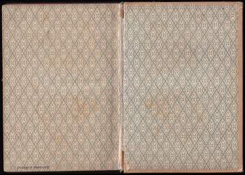 Lidija Aleksejevna Čarskaja: Džavachovské hnízdo