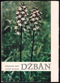 Džbán