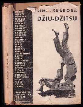 Džiu-džitsu