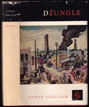 Džungle