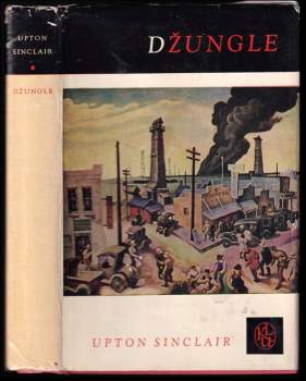 Džungle