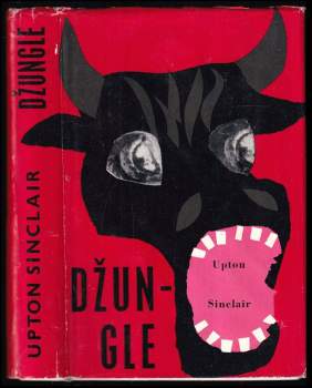 Džungle