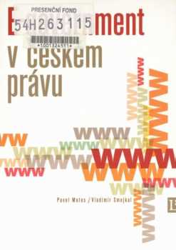 E-government v českém právu