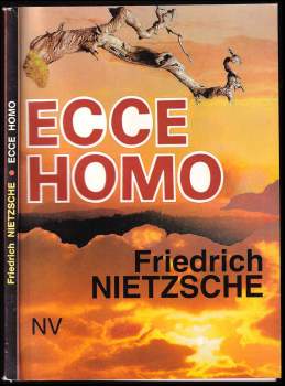 Ecce homo : Soumrak bůžků, aneb, Jak filosofovat kladivem