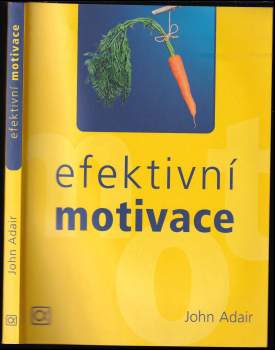 Efektivní motivace