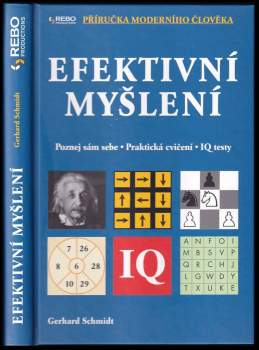 Efektivní myšlení