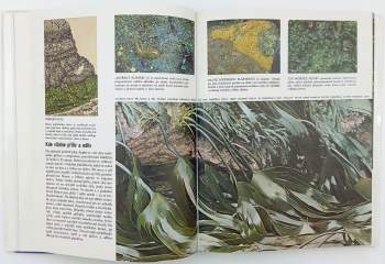 Peter Farb: Ekologie