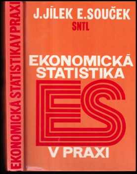 Ekonomická statistika v praxi