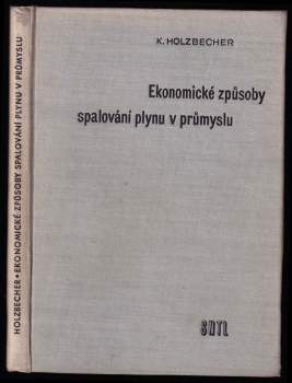 Ekonomické způsoby spalování plynu v průmyslu