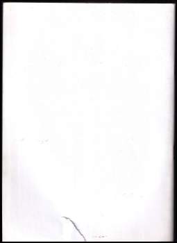 Robert Holman: Ekonomie