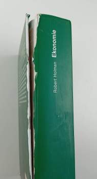 Robert Holman: Ekonomie