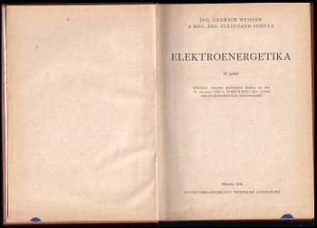 Ferdinand Schulz: Elektroenergetika