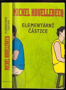Elementární částice