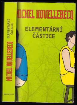 Elementární částice