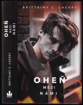 Elements : Oheň mezi námi - (2)