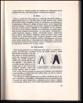 Karel Zlábek: Embryologie