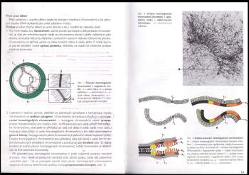 Zdeněk Vacek: Embryologie pro pediatry