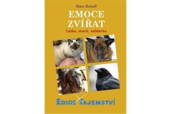 Emoce zvířat