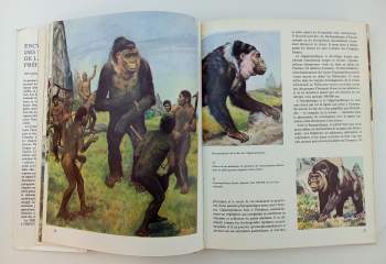 J Wolf: Encyclopédie des hommes de la préhistoire