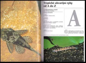 Esther Verhoef-Verhallen: Encyklopedie akvarijních ryb