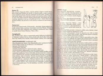 Michael Jordan: Encyklopedie bohů