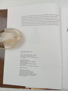 Encyklopedie čínské medicíny