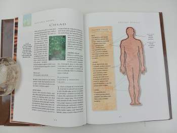 Encyklopedie čínské medicíny