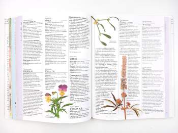 Andrew Lockie: Encyklopedie homeopatie