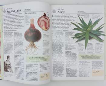 Andrew Lockie: Encyklopedie homeopatie