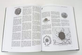 Encyklopedie hub a lišejníků