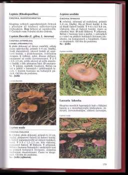 Gerrit J Keizer: Encyklopedie hub