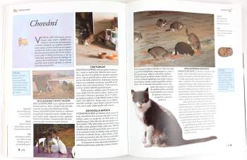 Michael Pollard: Encyklopedie koček