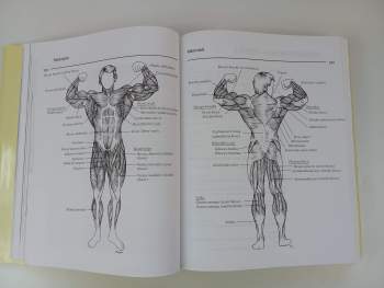 Arnold Schwarzenegger: Encyklopedie moderní kulturistiky