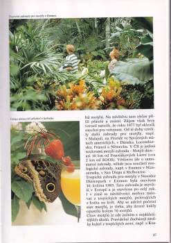 Wijbren Landman: Encyklopedie motýlů