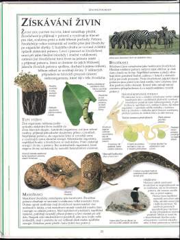 David Burnie: Encyklopedie přírody