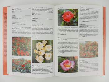 Nico Vermeulen: Encyklopedie růží