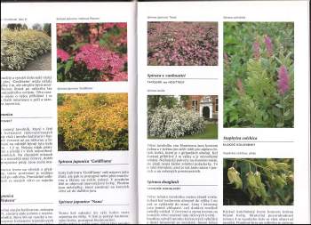 Nico Vermeulen: Encyklopedie stromů a keřů