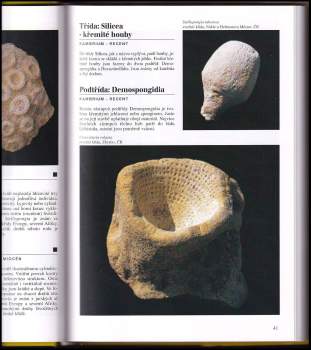 Martin Ivanov: Encyklopedie zkamenělin