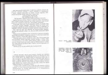 Gordon Thomas: Enola Gay