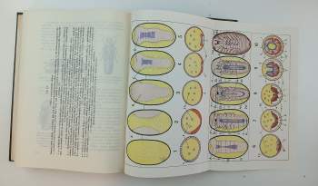 Entomologie