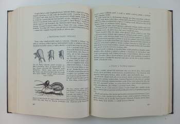 Entomologie