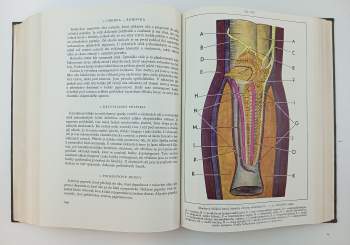 Entomologie