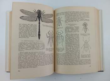 Entomologie