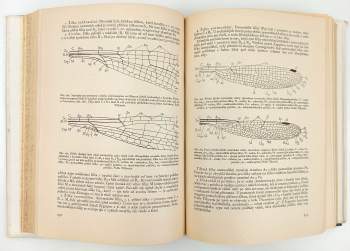 Jan Obenberger: Entomologie