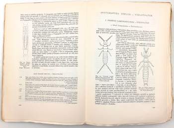 Jan Obenberger: Entomologie