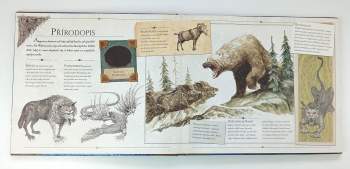 Christopher Paolini: Eragon