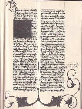 Desiderius Erasmus Rotterdamský: Erasma Rotterdamského Chvála bláznovství