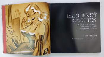 Tim Pilcher: Erotický komiks